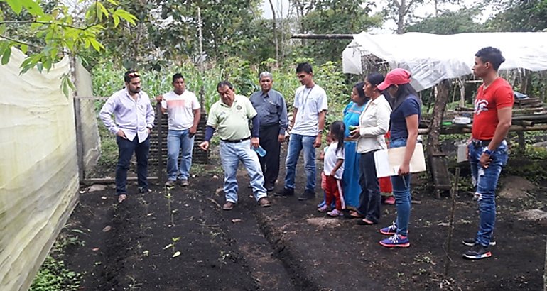 Agricultura Orgnica