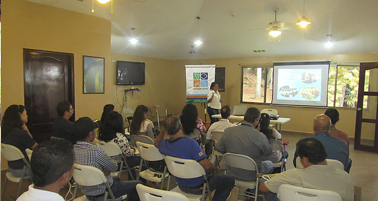 Impulsan La Red Nacional de Cooperacin para la Educacin Ambiental no Formal