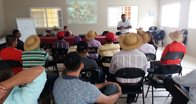 ARAP en Veraguas capacita extensionistas de SENAPAN 