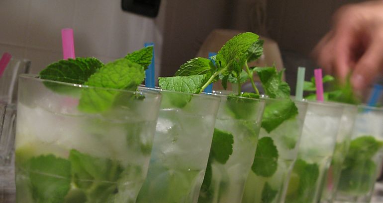 Mojito