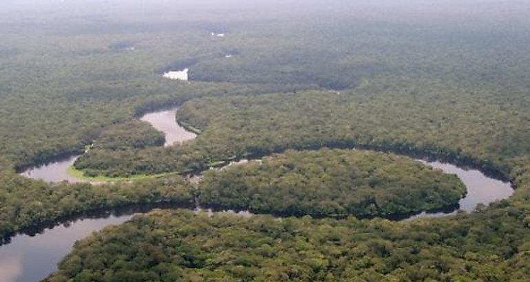 cuenca central del Congo