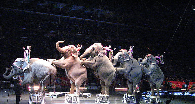 Ringling Brothers 