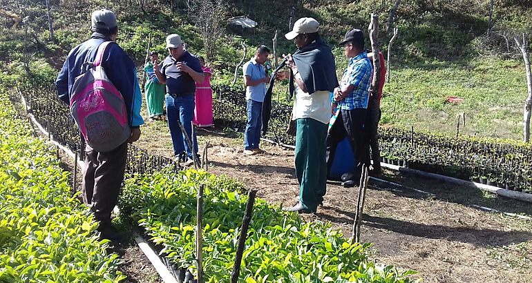 Productores de comarca Ngbe Bugl