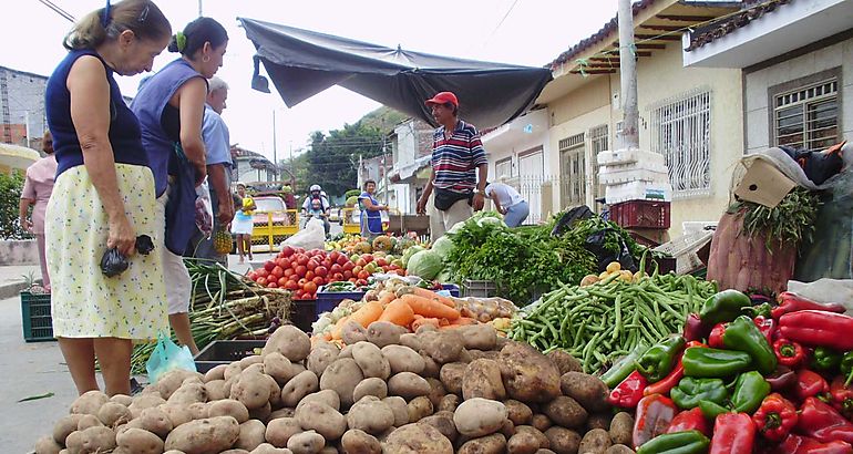 Seguridad alimentaria