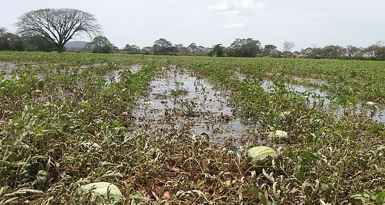 inundaciones en el campo