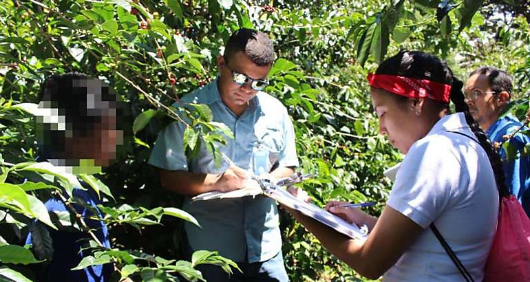 Operativos contra el trabajo infantil