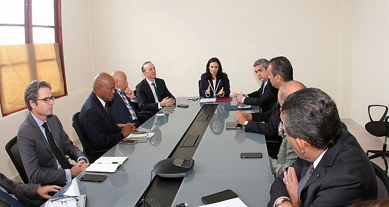 Vicepresidenta presidiendo mesa