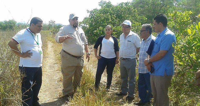 Visitan terrenos del MIDA en Chiriqu