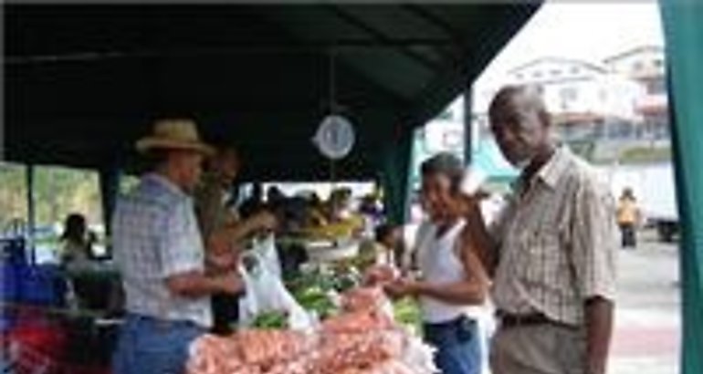 Esperan vender 3700 bolsas de arroz