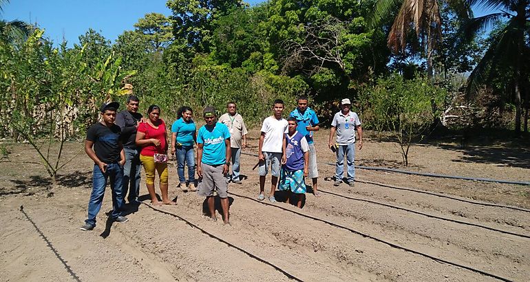 Desarrollo rural  campo  campesinos