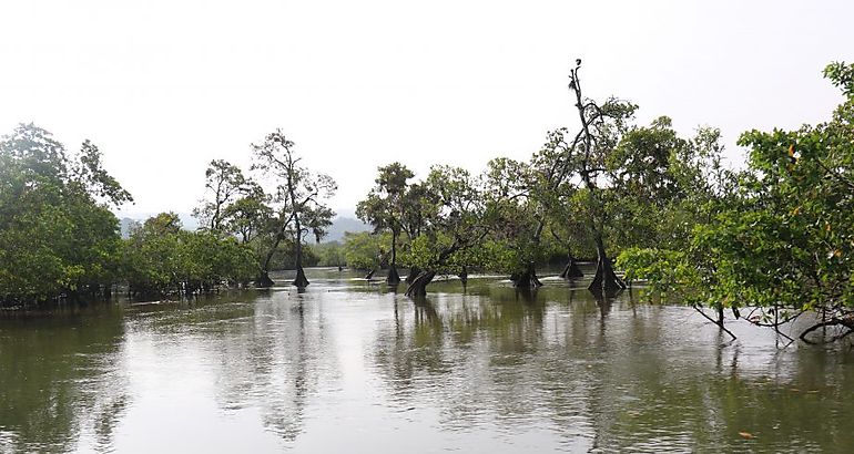 Zona de pesca