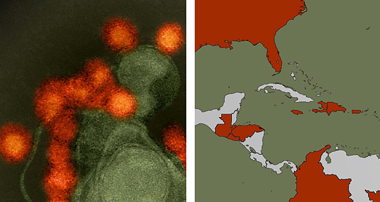 Zika pudo circular por Amrica