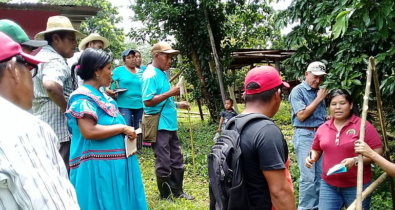 Capacitacin a productores comarcales