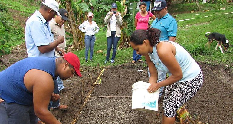 Capacitan a productores en agricultura domiciliaria y seguridad nutricional