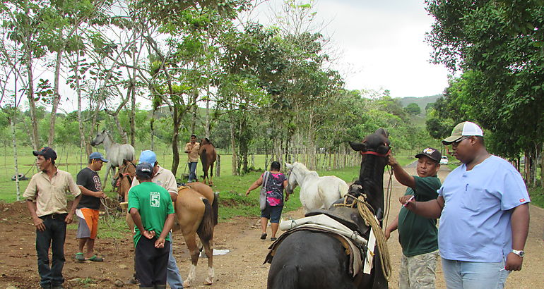 Jornada de Vacunacin Equina en Panam Oeste