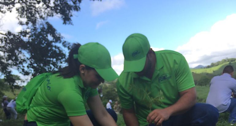 Voluntarios reforestando