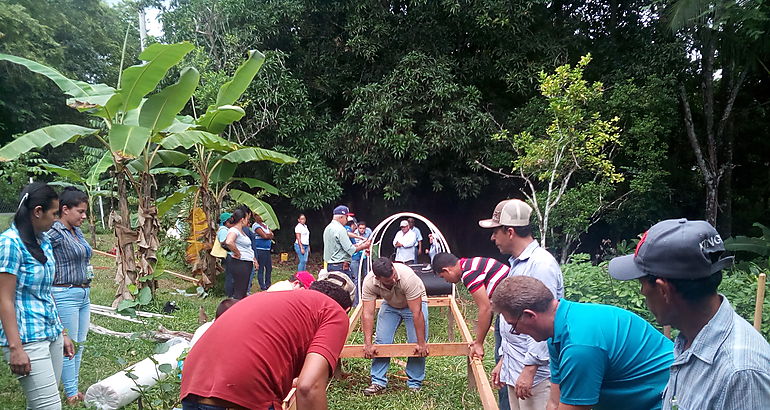 Secadores solares de caf