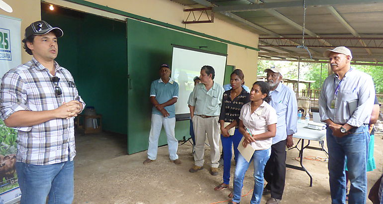 Charla en manejo y nutricin de bovinos en Cocl