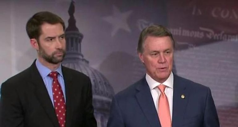 David Perdue y Tom Cotton