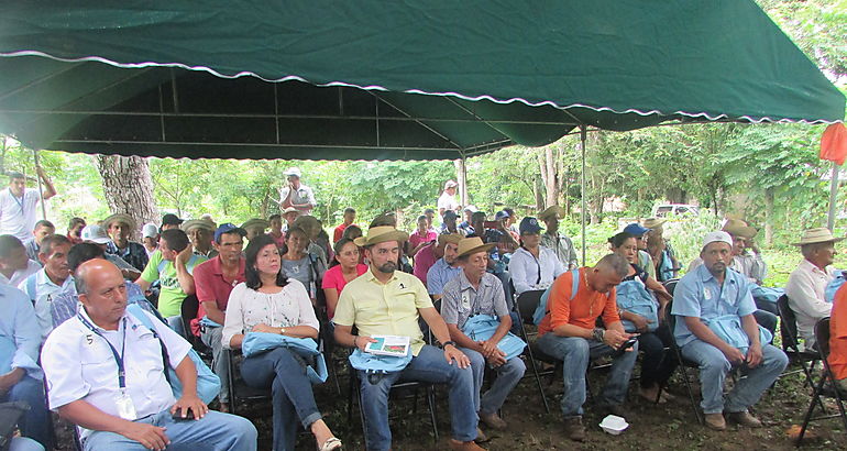 Productores de caf reciben reconocimiento