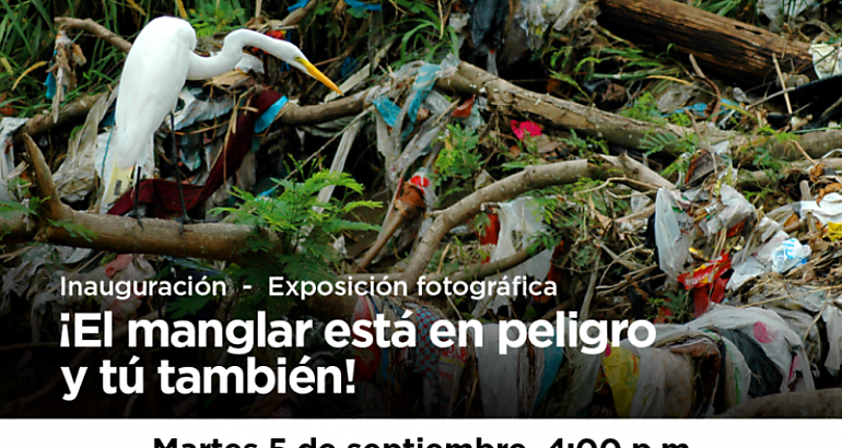 Exhibicin fotogrfica El manglar est en peligro y t tambin