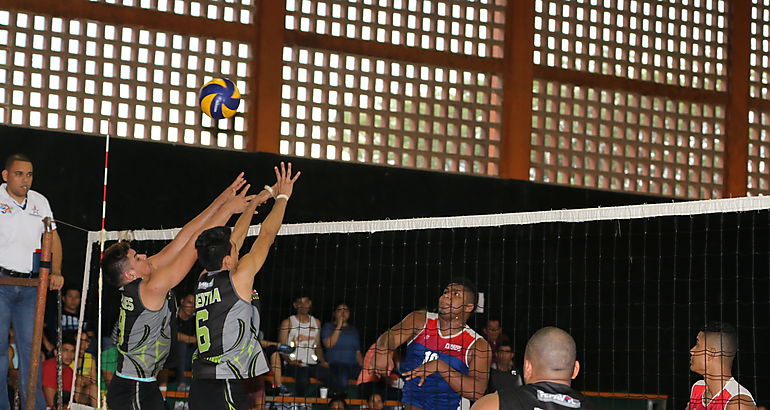 Voleibol Mayor