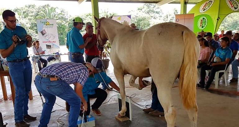 Mdicos veterinarios se actualizan con nuevas tecnologas