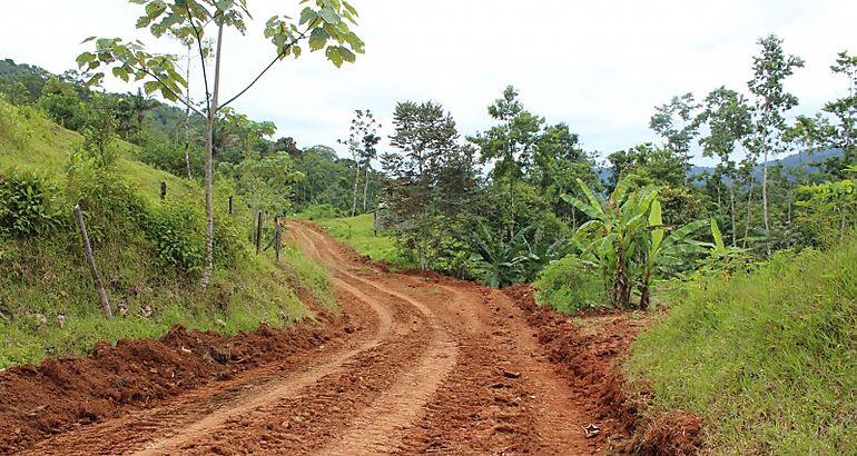 Corte en camino de produccin en Nueva Esperanza de Valle Risco