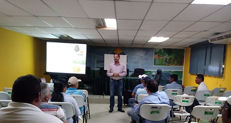 Taller sobre buenas prcticas agrcolas en injertos de viveros 