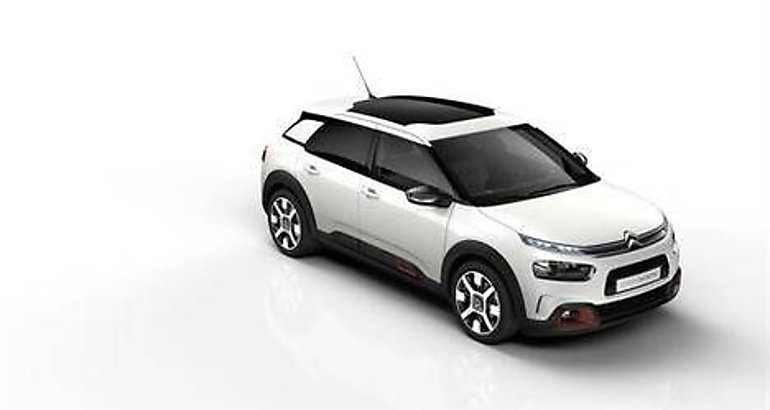 Citron C4 Cactus