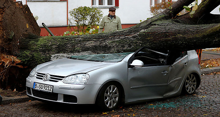 Cada rbol  coche  accidentado