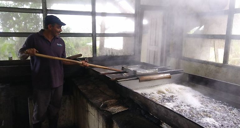 produccin de panela