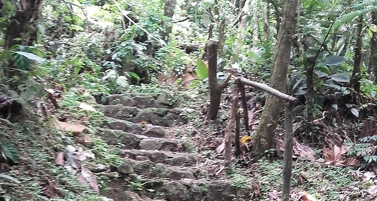 Sendero El Convento Cerro Gaital