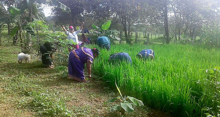 Mujer rural