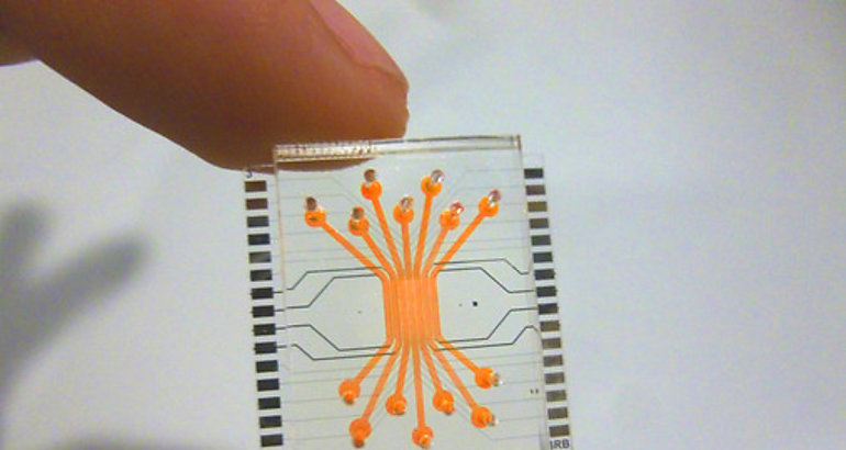 Un microchip microfludico 