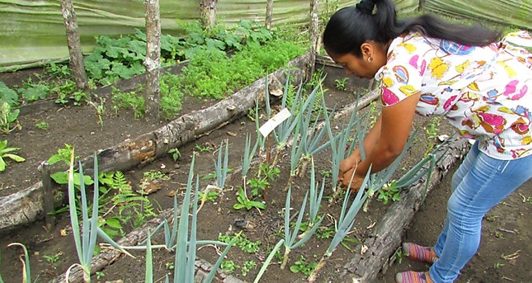 Mujer rural