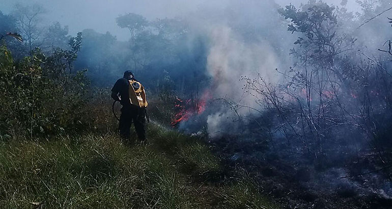 incendios de masa vegetal 