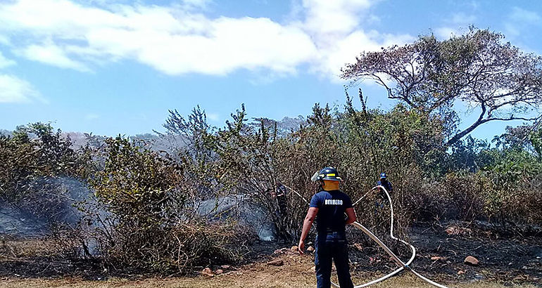 incendios de masa vegetal 