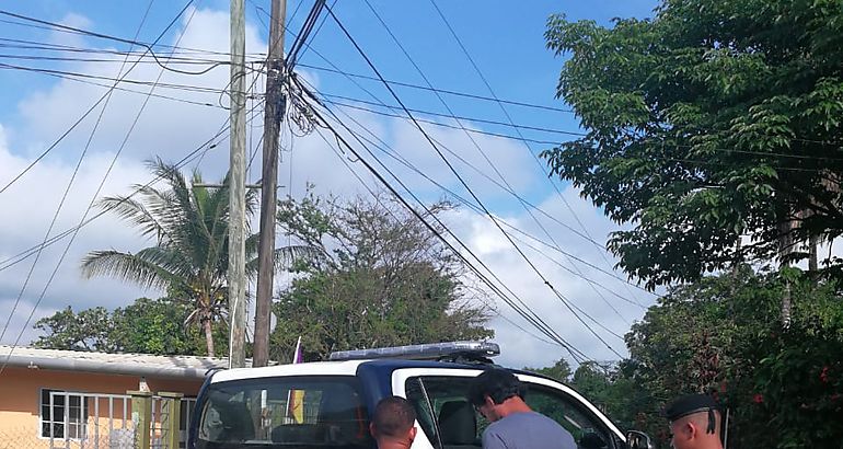 Continua la lucha contra la droga en Condado del Rey