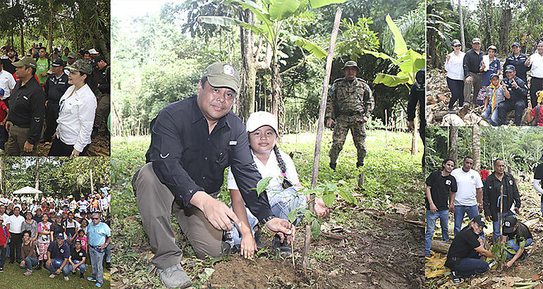 Minseg y estamentos de seguridad sembraron 4 mil 500 plantones en Centro Ecolgico Wakso en Bocas del Toro 