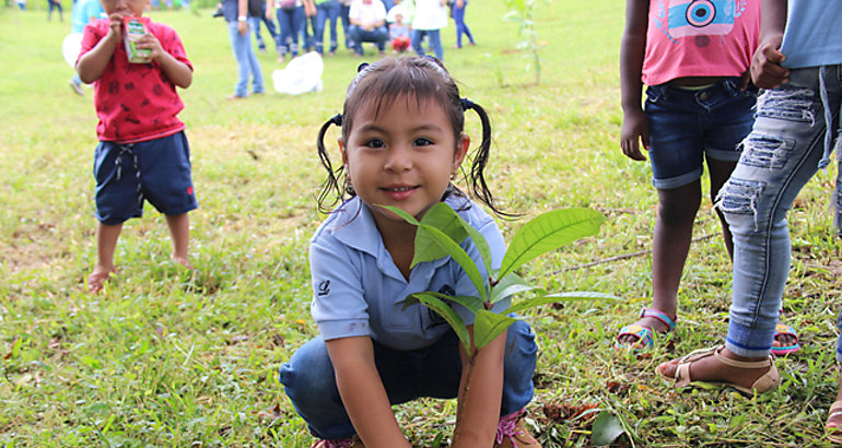  Reforestacin