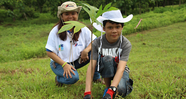  Reforestacin