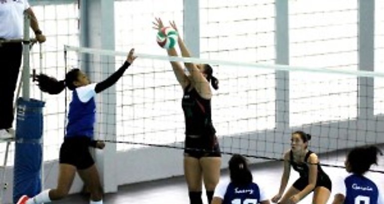 Voleibol Femenino