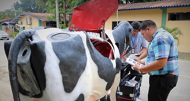 simuladores bovinos