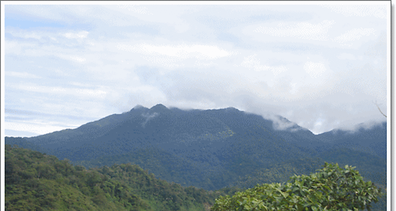 Realizan  patrullaje en el Parque Nacional de Santa F