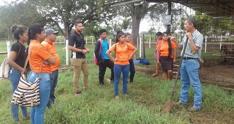 Estudiantes que cursan la carrera ingeniera agroforesta