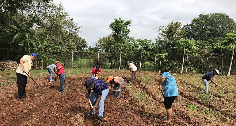 Escuelas de Los Santos son beneficiadas con huertos escolares 