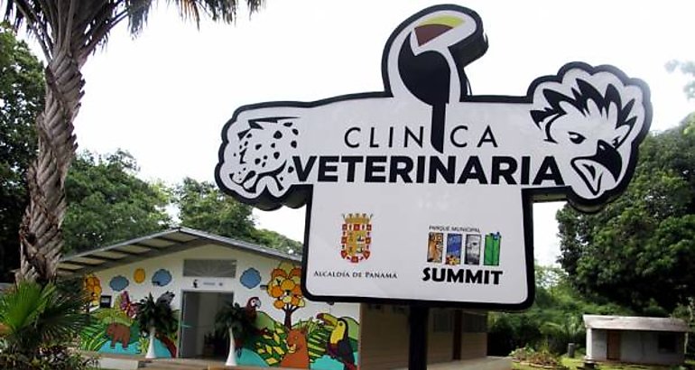 Abre sus puertas la primera clnica veterinaria de animales silvestres