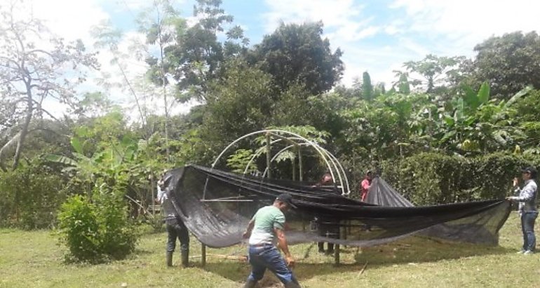 Participantes del Diplomado en Cultivo de Pltano construyen vivero artesanal