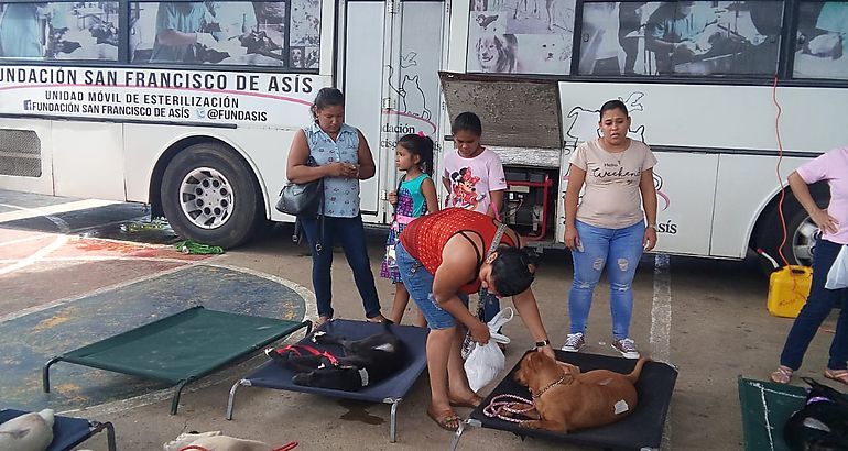 jornadas de esterilizacin